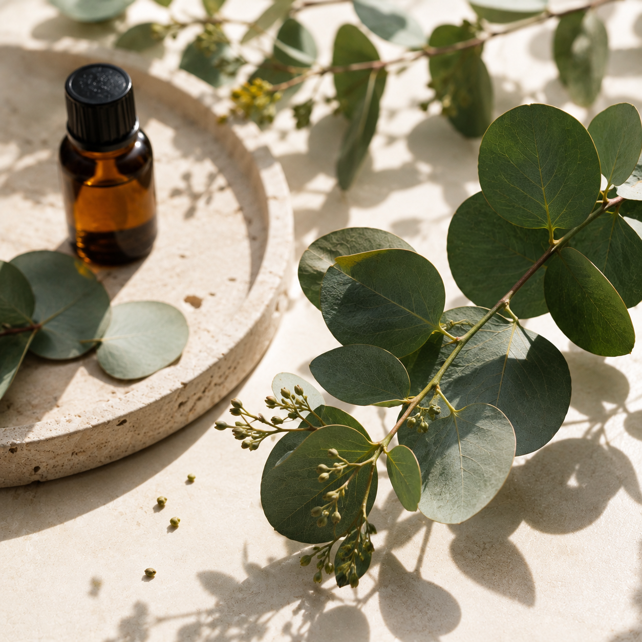 Eucalyptus botanical extract on navy linen